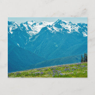 Wildflowers and Mountains Postcard
