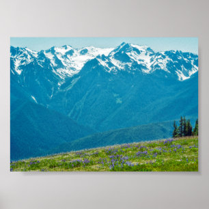 Wildflowers and Mountains Poster