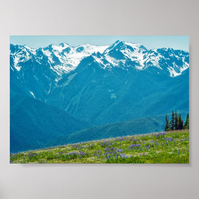Wildflowers and Mountains Poster (Front)