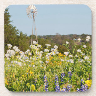 Wildflowers And Windmill In Texas Hill Country Coaster