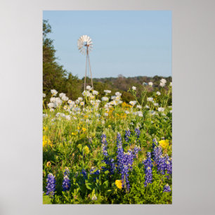 Wildflowers And Windmill In Texas Hill Country Poster