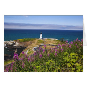 Wildflowers and Yaquina