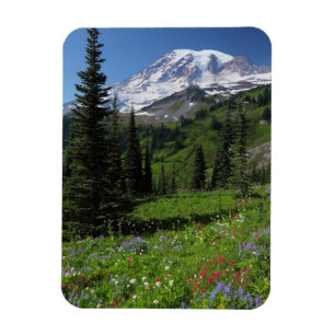 Wildflowers at Mount Rainier Magnet