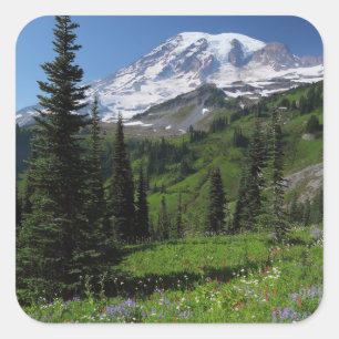 Wildflowers at Mount Rainier Square Sticker