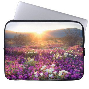Wildflowers at sunset   Anza-Borrego Desert Laptop Sleeve