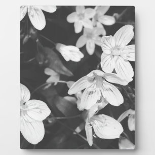 Wildflowers Black and White Plaque