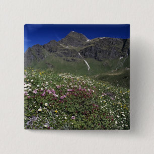 Wildflowers, blooming, Alps, Switzerland 15 Cm Square Badge