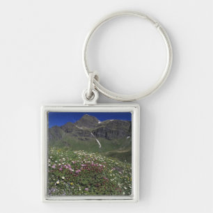 Wildflowers, blooming, Alps, Switzerland Key Ring