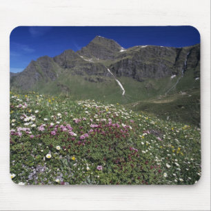 Wildflowers, blooming, Alps, Switzerland Mouse Pad