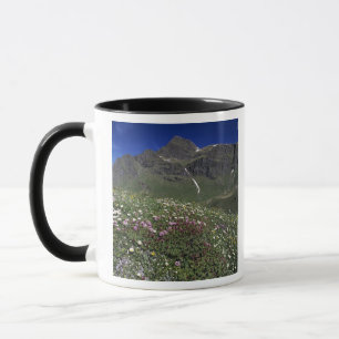 Wildflowers, blooming, Alps, Switzerland Mug