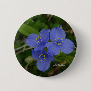 Wildflowers Blue Spiderwort Hot Springs AR Gifts 6 Cm Round Badge