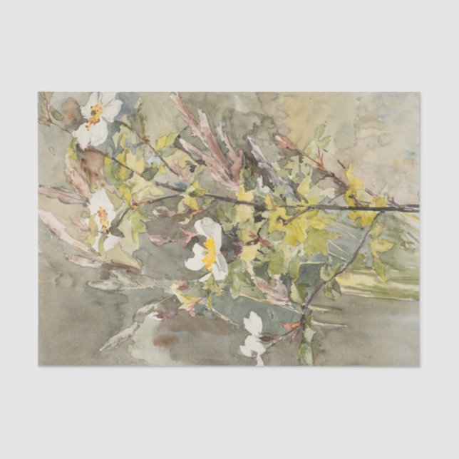 Wildflowers by Barbara Bodichon Tissue Paper (Front)