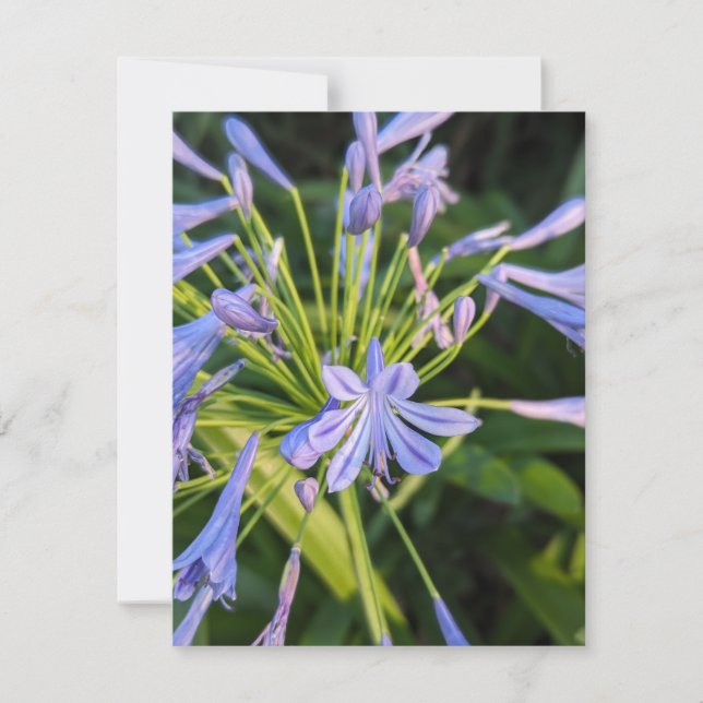Wildflowers Card (Front)