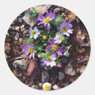 Wildflowers Classic Round Sticker