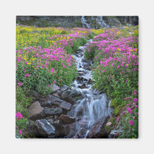 Wildflowers, Clements Mountain, Montana Magnet