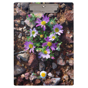 Wildflowers Clipboard