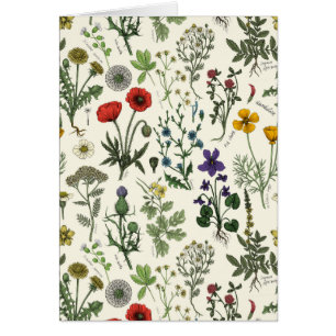 Wildflowers collage