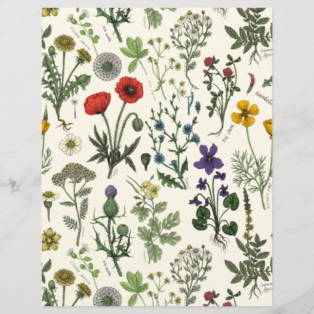 Wildflowers collage (Front)
