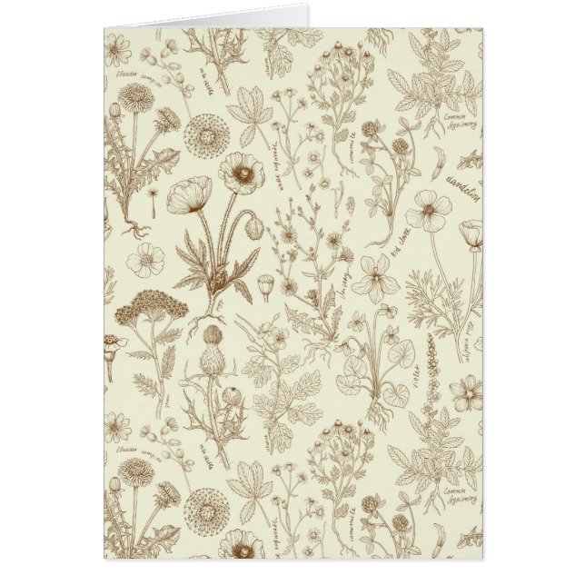 Wildflowers collage/ beige and sepia (Front)