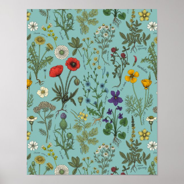 Wildflowers collage on blue poster (Front)