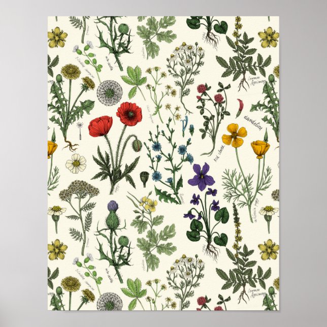 Wildflowers collage poster (Front)