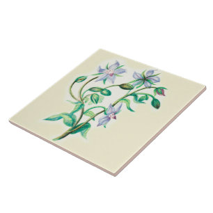Wildflowers Country Kitchen Ceramic Tile Borage