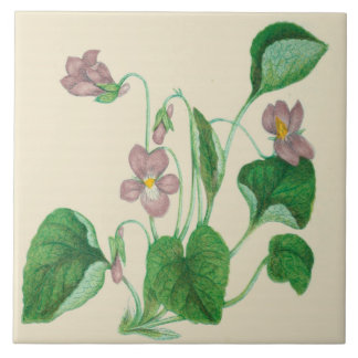 Wildflowers Country Kitchen Ceramic Tile Violets