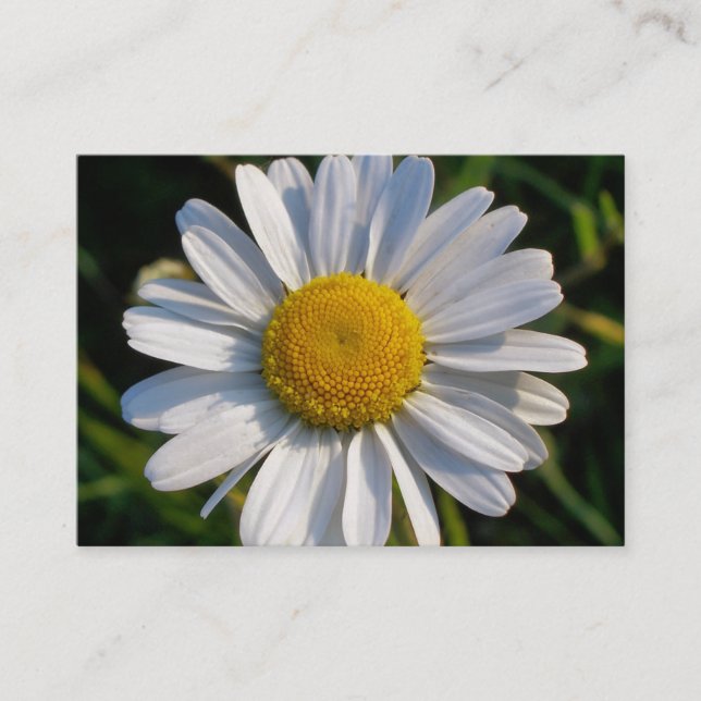WILDFLOWERS DAISY BUSINESS CARD (Front)
