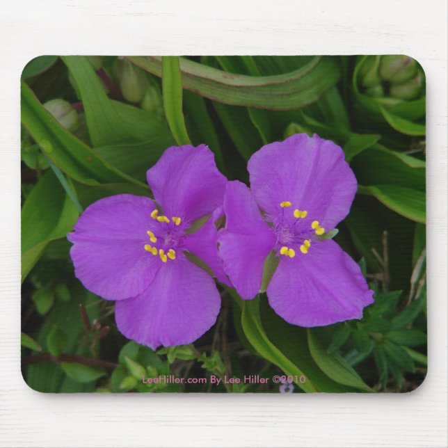 Wildflowers Fuchsia Spiderwort Hot Springs Gifts Mouse Pad (Front)