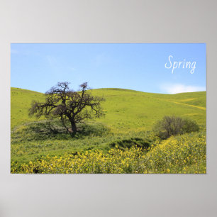 Wildflowers Hillside Photo Oak Nature Scenic Photo Poster