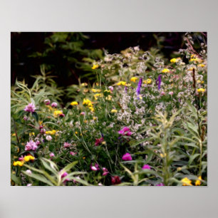 Wildflowers In Field Photo Oil Painting Poster
