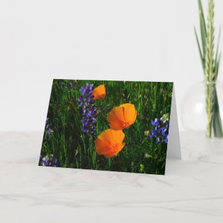 Wildflowers in Sonoma County Card