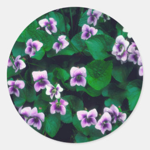 Wildflowers in the forest classic round sticker
