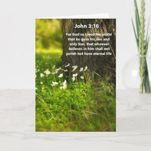 WildFlowers John 3:16 Bible Verse Greeting Card