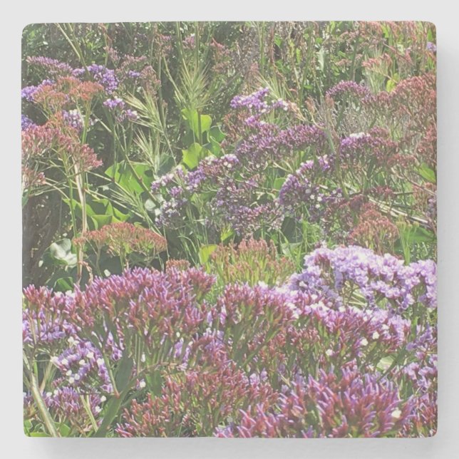 Wildflowers, La Jolla Cove, CA Stone Coaster (Front)