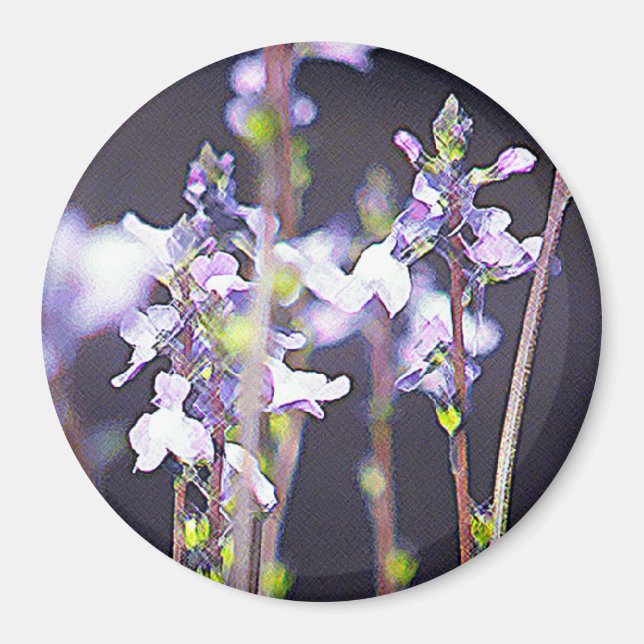Wildflowers Magnet (Front)