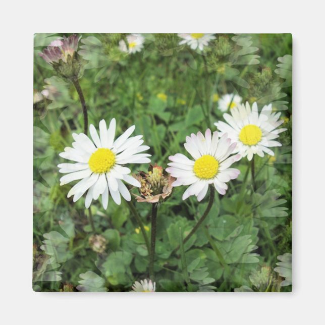 WILDFLOWERS MAGNET (Front)