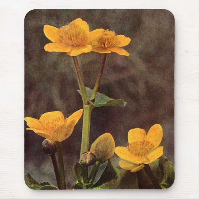 Wildflowers: Marsh Marigold Mouse Pad (Front)