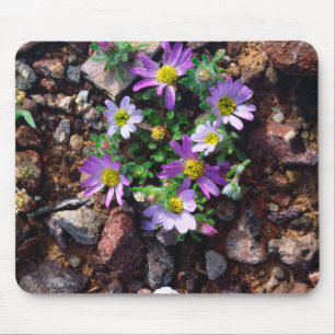 Wildflowers Mouse Pad