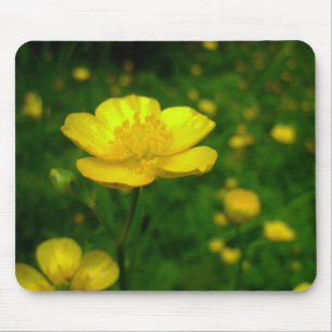 Wildflowers Mousepad  Buttercup Computer Gifts