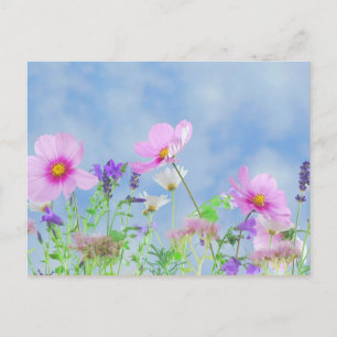 Wildflowers, Nature's Beauty Postcard