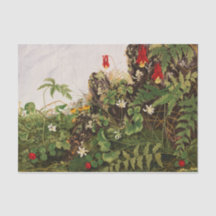 Wildflowers No. 1 by Ellen Robbins