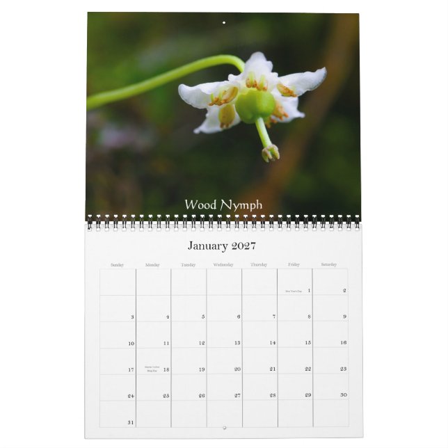 Wildflowers Of Crested Butte Calendar (Jan 2027)