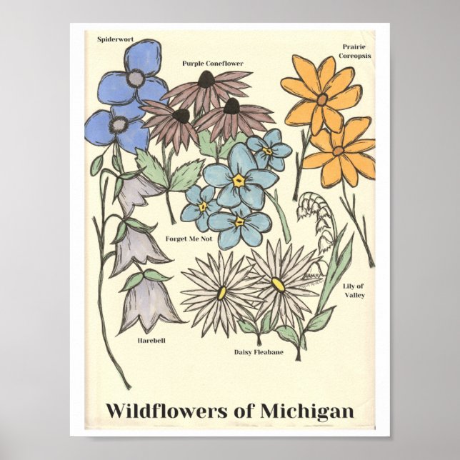 Wildflowers of Michigan Hand Drawn Art Print (Front)