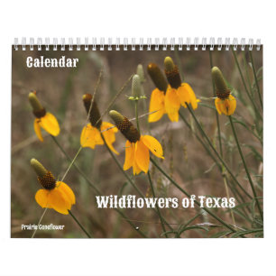 Wildflowers of Texas Calendar