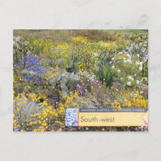 Wildflowers of Western Australia Postcard