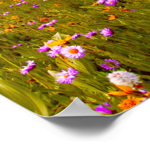 Wildflowers on Mountain Meadow - Yellows Purples Poster