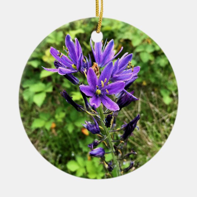 Wildflowers on the Trail, Oregon Ceramic Ornament (Front)