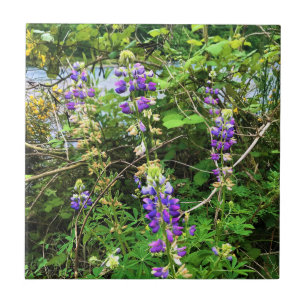 Wildflowers on the Trail, Oregon Ceramic Tile