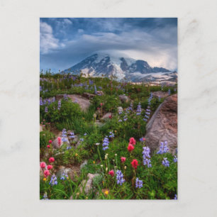 Wildflowers Postcard